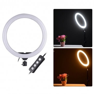 žiedinė LED lempa su valdikliu 20 cm 3